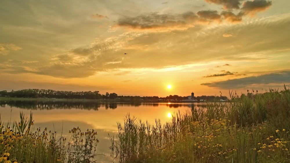 Фотографія Вечоріє. / Gregori Yakimchuk / photographers.ua