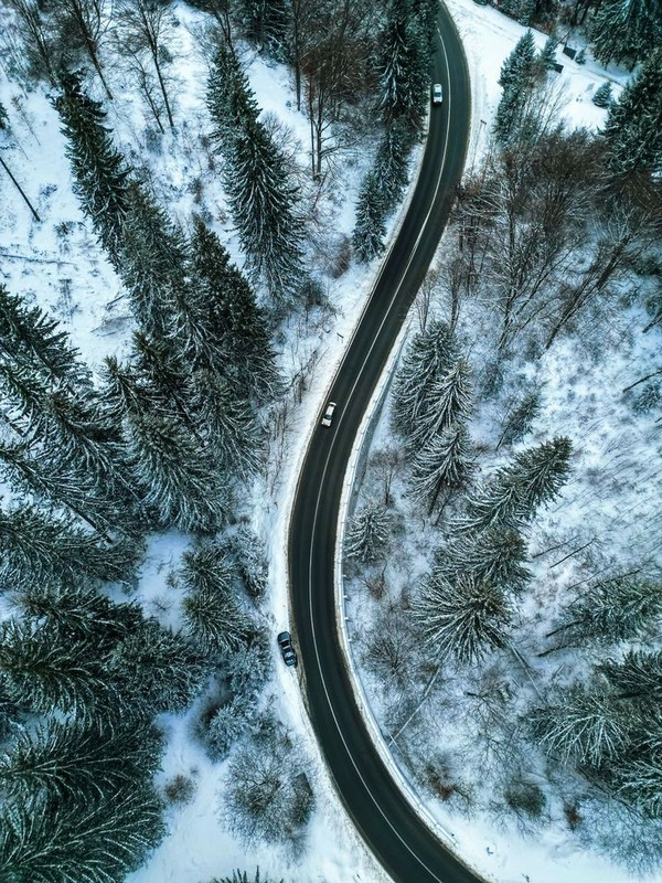 Фотографія Winter road / Надежда Мельникова / photographers.ua