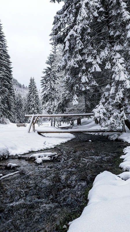 Фотографія Winter forest / Надежда Мельникова / photographers.ua