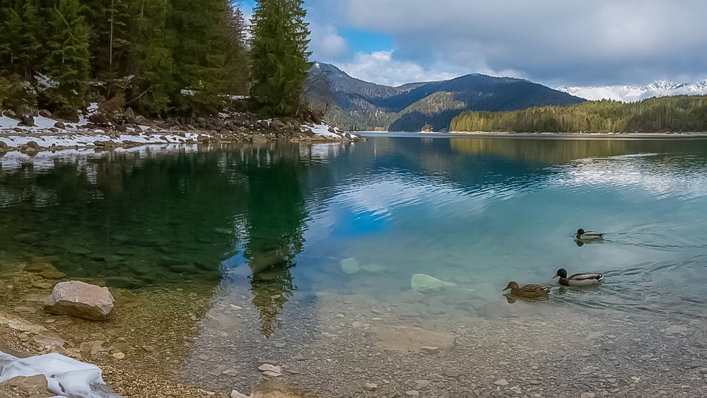 Фотографія Озеро Eibsee . / KhongNgoc / photographers.ua