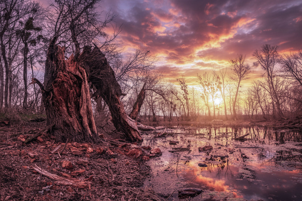 Фотографія Добрый вечер! / KhongNgoc / photographers.ua