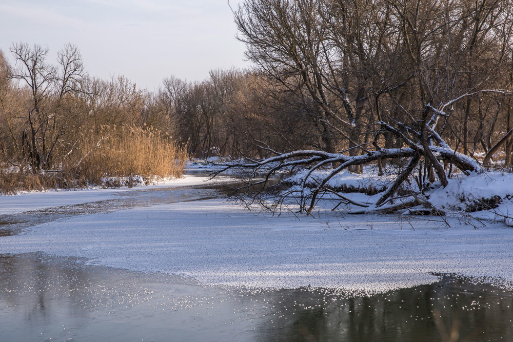 Фотография Зима пришла . / KhongNgoc / photographers.ua