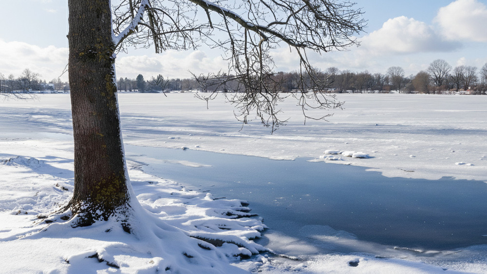 Фотографія Зима пришла . / KhongNgoc / photographers.ua