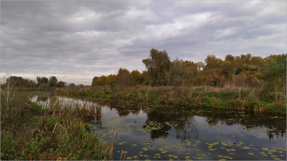 Фотографія Осіння ріка / Anatoliy Storchak / photographers.ua