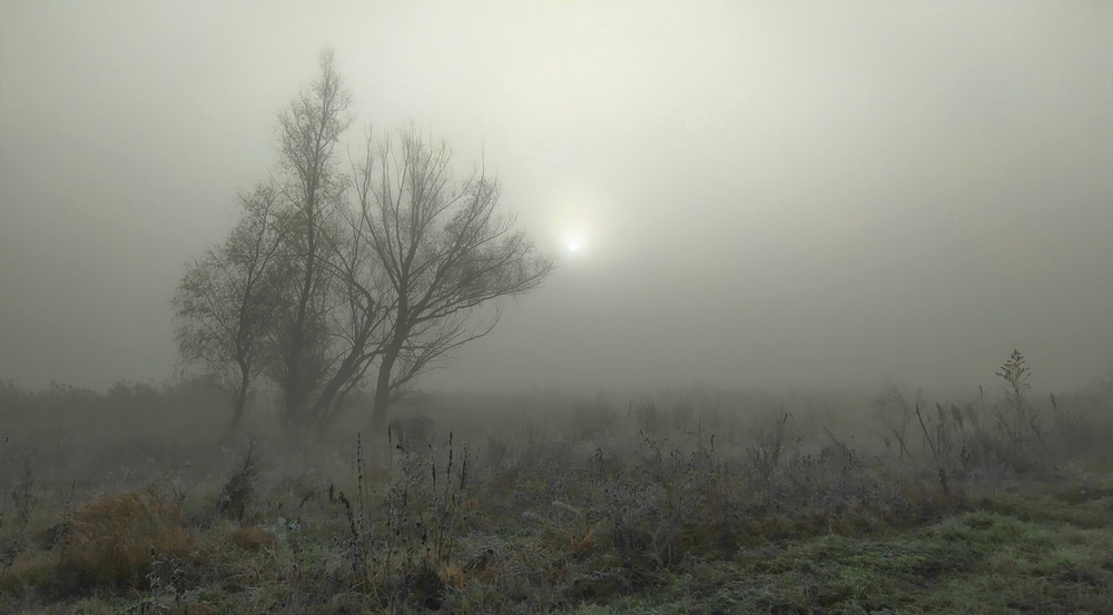 Фотографія Молочний туман / Anatoliy Storchak / photographers.ua