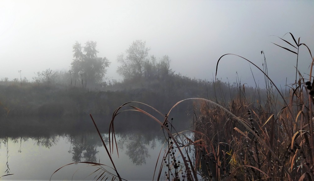Фотографія Туман над озером, туман... / Anatoliy Storchak / photographers.ua