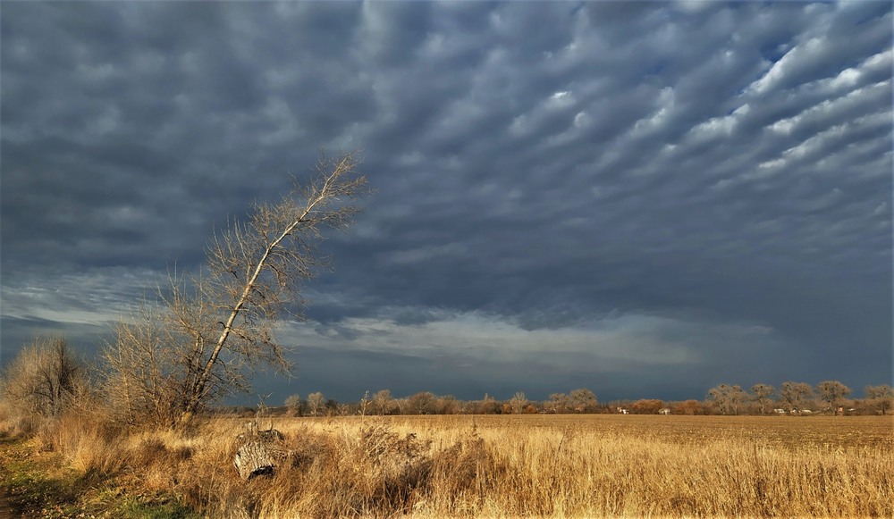 Фотографія Небо в листопаді / Anatoliy Storchak / photographers.ua