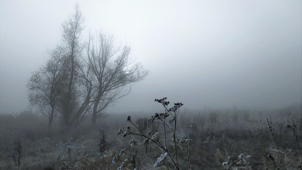Фотографія Безпросвітний туман / Anatoliy Storchak / photographers.ua