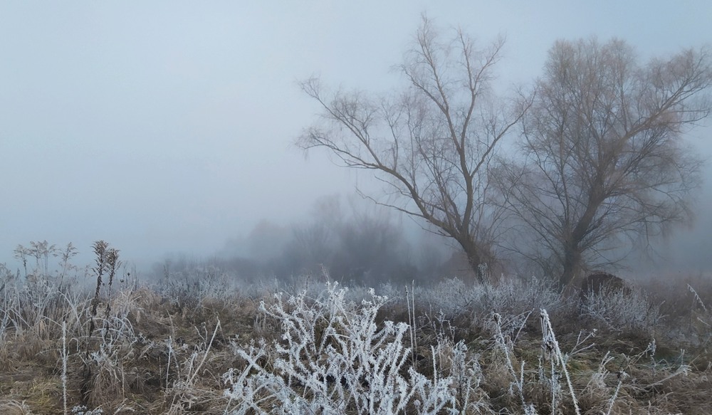 Фотографія Туманний ранок / Anatoliy Storchak / photographers.ua