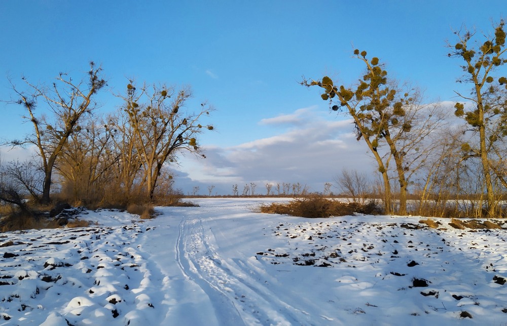 Фотографія Ворота до зимового поля / Anatoliy Storchak / photographers.ua