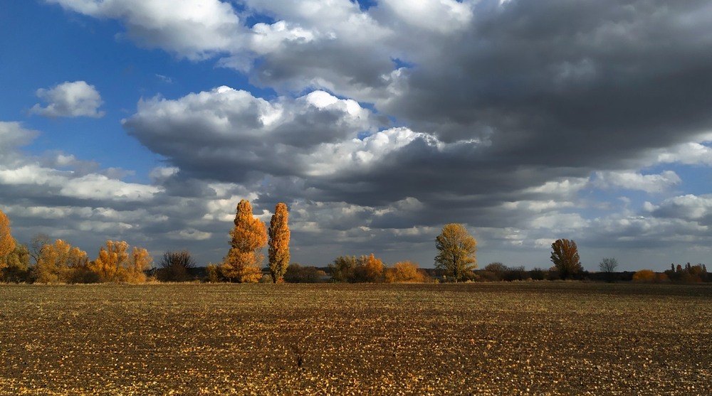 Фотографія Осінь на марші / Anatoliy Storchak / photographers.ua