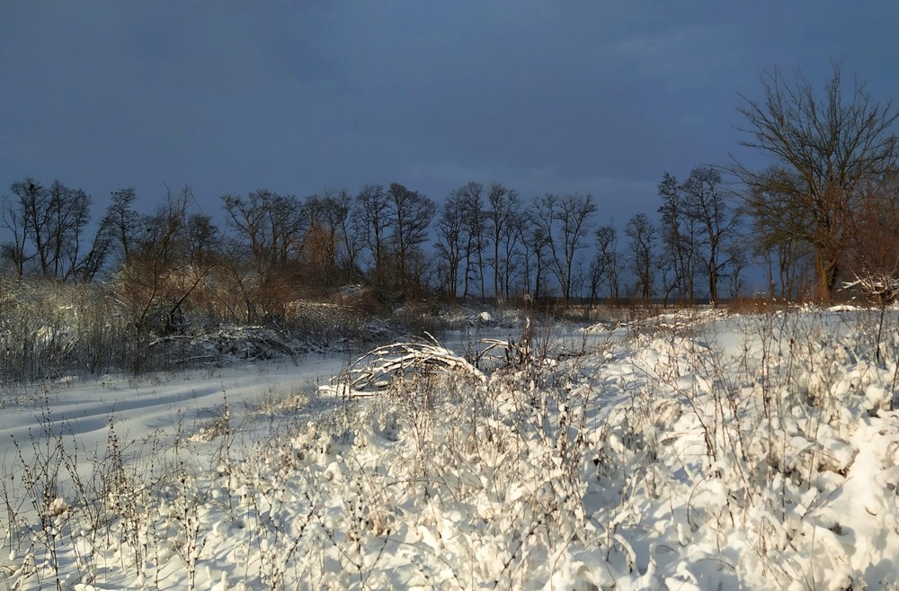 Фотографія Снігу навалило / Anatoliy Storchak / photographers.ua