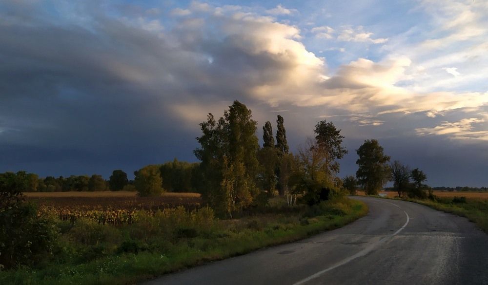 Фотографія Осіння дорога / Anatoliy Storchak / photographers.ua