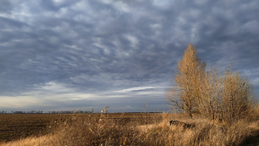 Фотографія Листопад / Anatoliy Storchak / photographers.ua