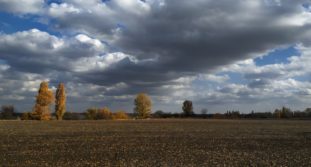 Фотографія Осінь на марші / Anatoliy Storchak / photographers.ua