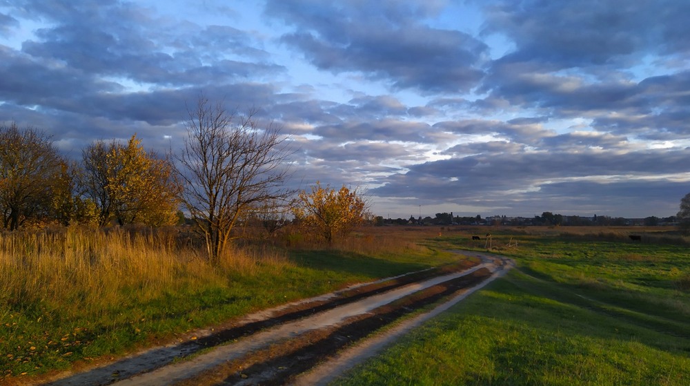Фотографія Довгі тіні / Anatoliy Storchak / photographers.ua