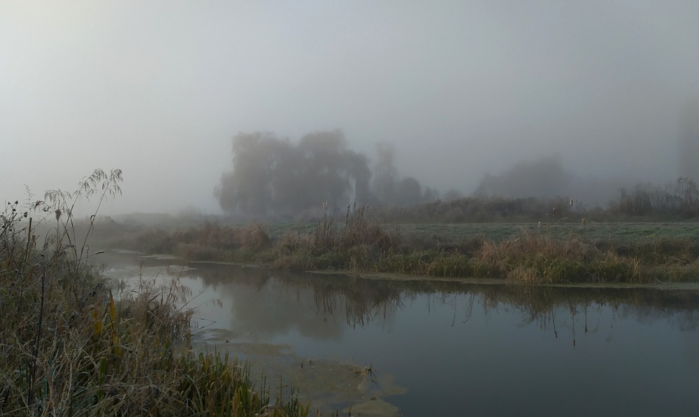 Фотографія Туманний ранок / Anatoliy Storchak / photographers.ua