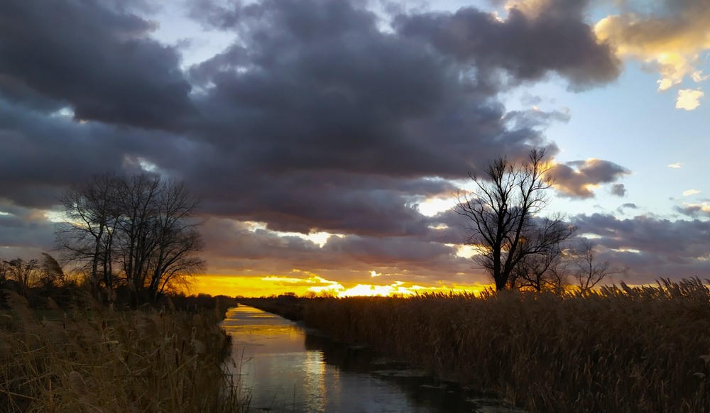 Фотографія Захід в листопаді / Anatoliy Storchak / photographers.ua