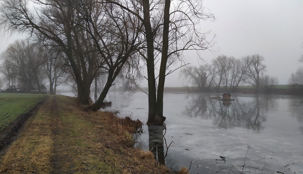 Фотографія Туманний січень / Anatoliy Storchak / photographers.ua