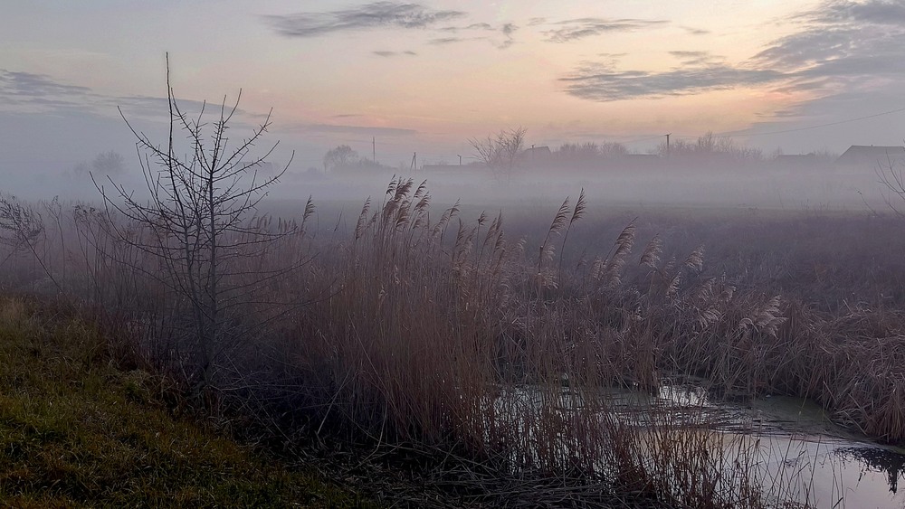 Фотографія Туманні сутінки / Anatoliy Storchak / photographers.ua