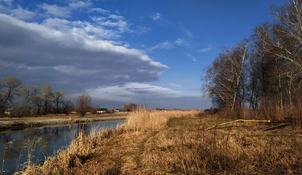 Фотографія І навіть така зима / Anatoliy Storchak / photographers.ua