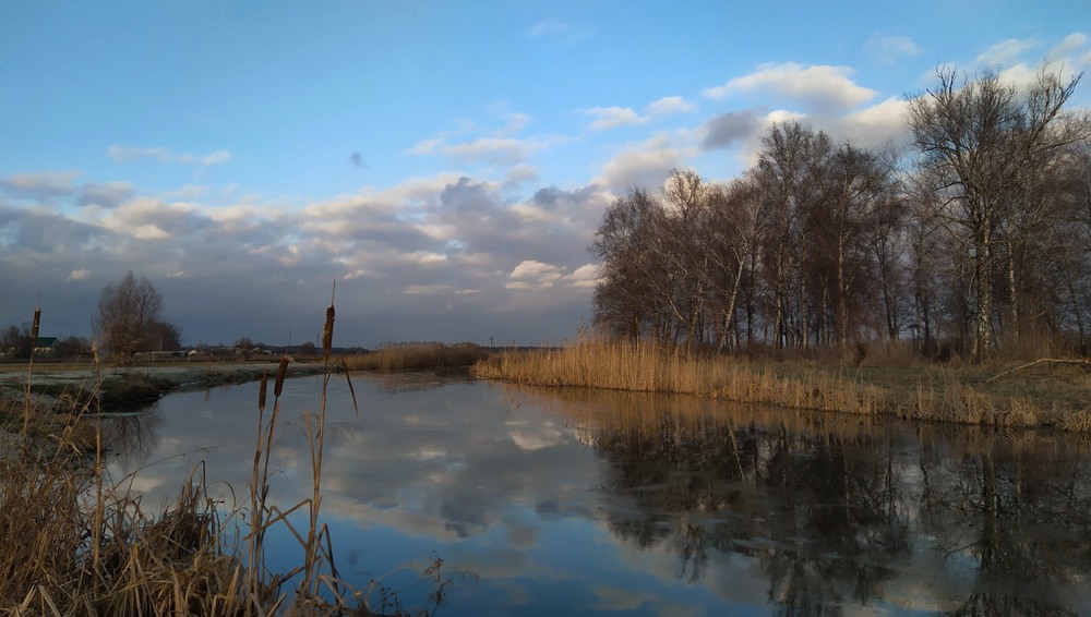 Фотографія Така от зима / Anatoliy Storchak / photographers.ua