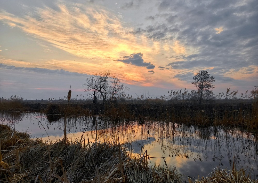 Фотографія Березневий вечір запалав / Anatoliy Storchak / photographers.ua