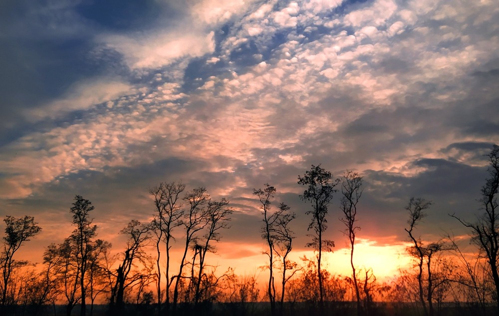 Фотографія Вечірній стрій / Anatoliy Storchak / photographers.ua