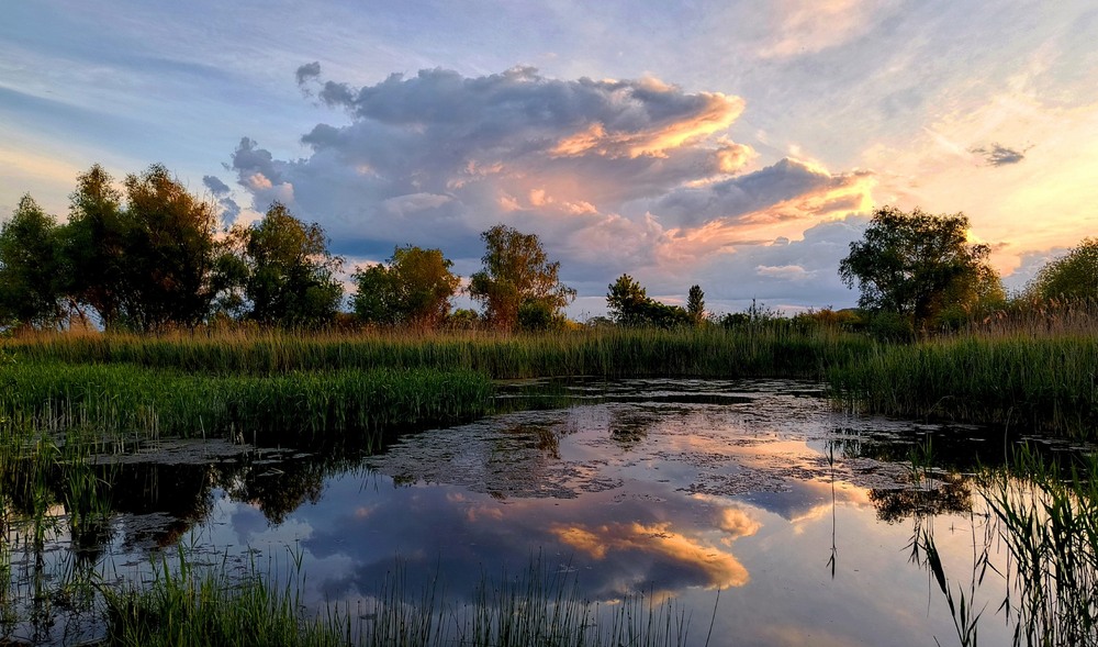 Фотографія Вечірня хмара / Anatoliy Storchak / photographers.ua