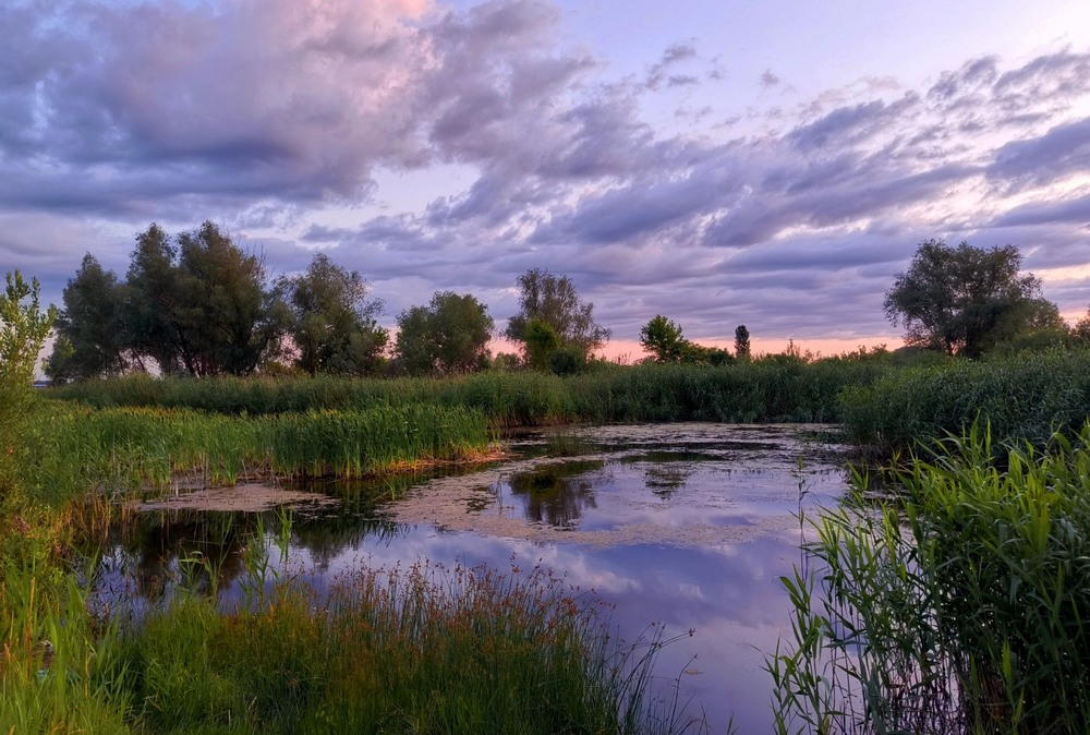 Фотографія Вечір / Anatoliy Storchak / photographers.ua