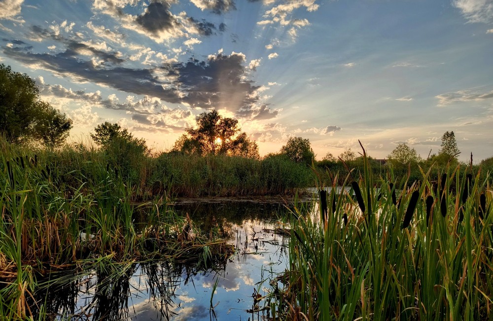 Фотографія Промені вечірнього сонця / Anatoliy Storchak / photographers.ua