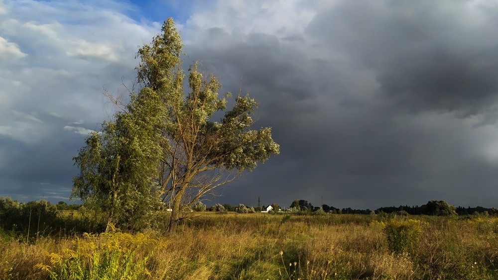 Фотографія Після грози / Anatoliy Storchak / photographers.ua