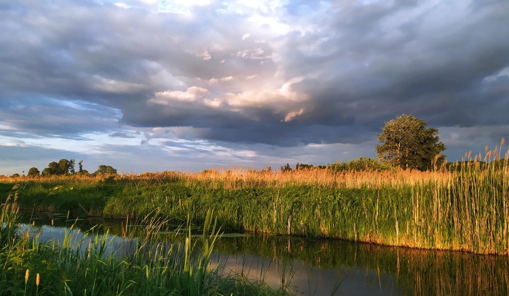 Фотографія Осяяний берег / Anatoliy Storchak / photographers.ua