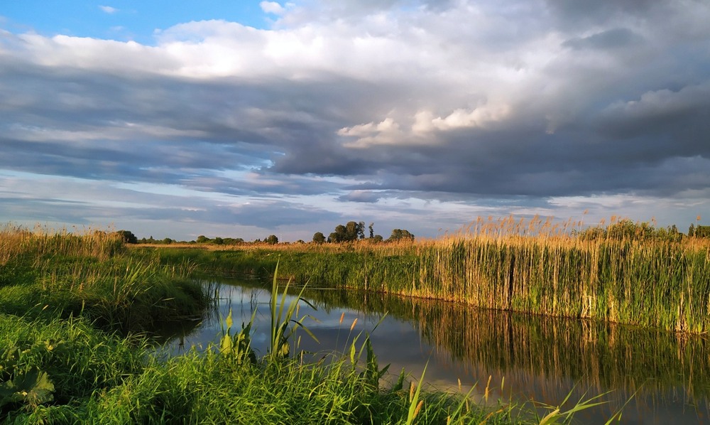 Фотографія На бережку / Anatoliy Storchak / photographers.ua