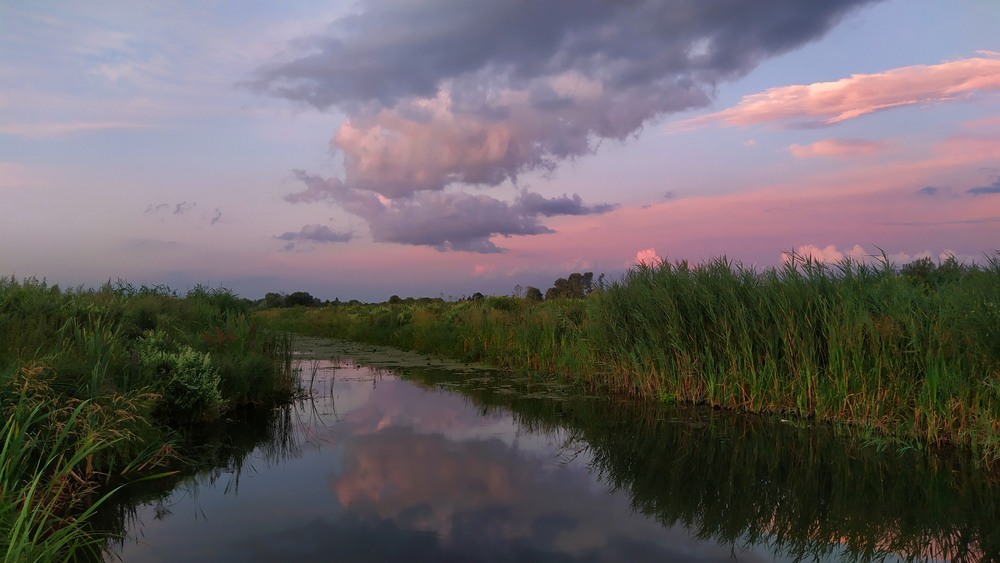 Фотографія Рожевий вечір біля річки / Anatoliy Storchak / photographers.ua