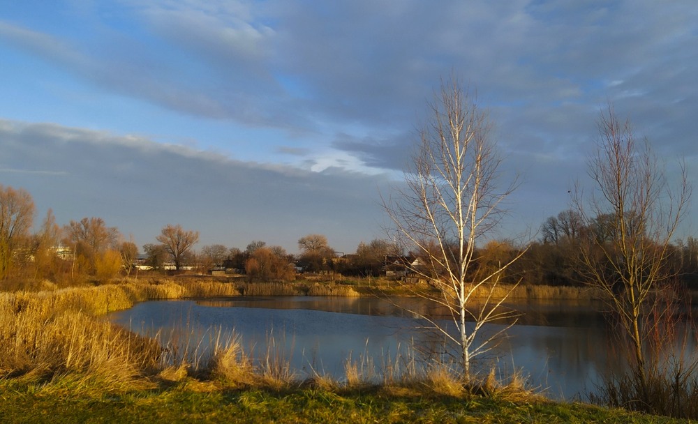 Фотографія Погожа днина пізньої осені / Anatoliy Storchak / photographers.ua