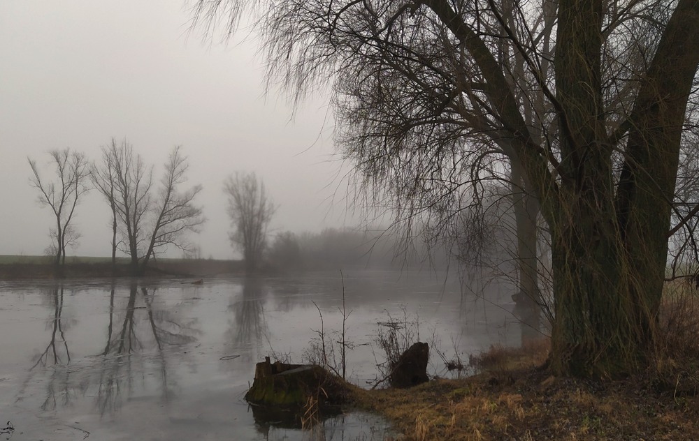 Фотографія Туман холодний осіда / Anatoliy Storchak / photographers.ua