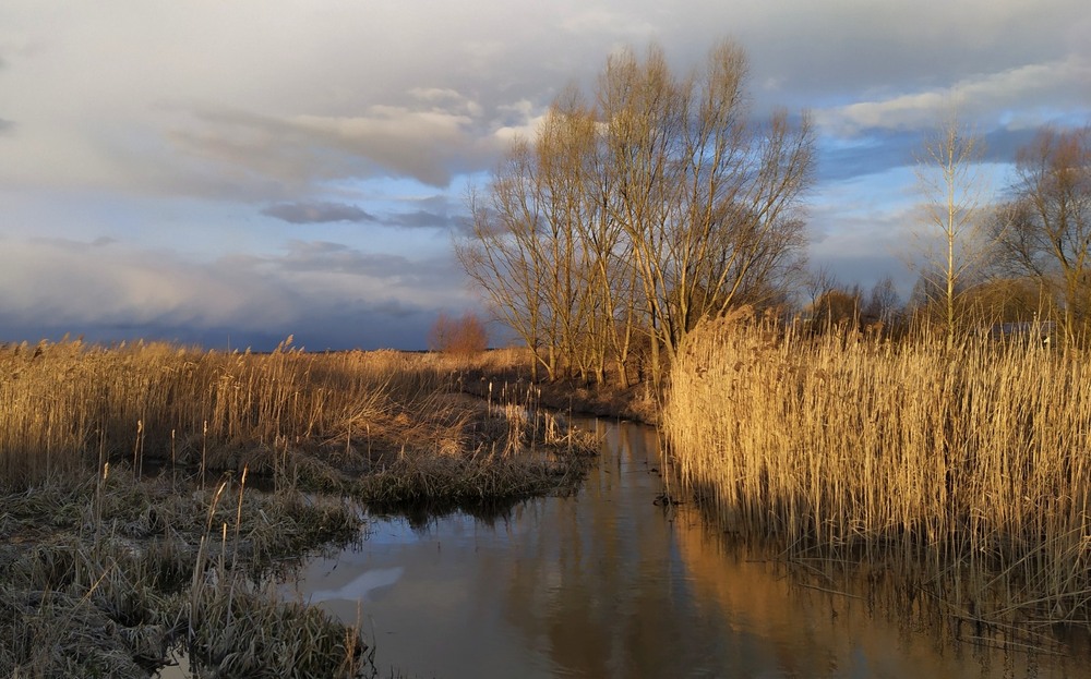 Фотографія Без снігу / Anatoliy Storchak / photographers.ua