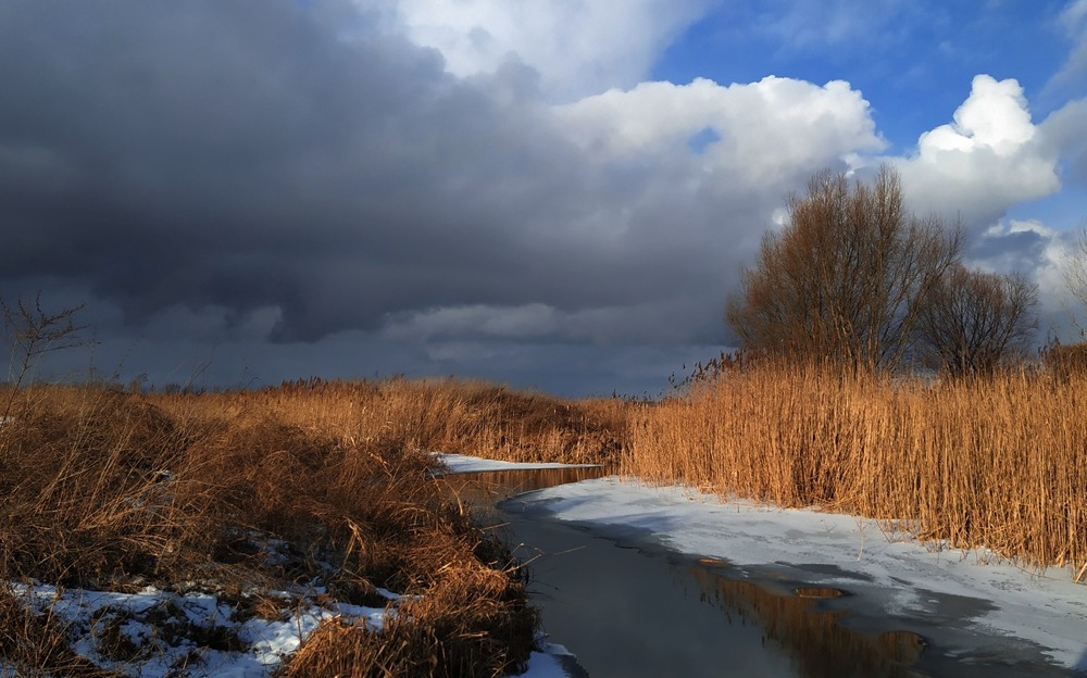 Фотографія Взимку біля річки / Anatoliy Storchak / photographers.ua