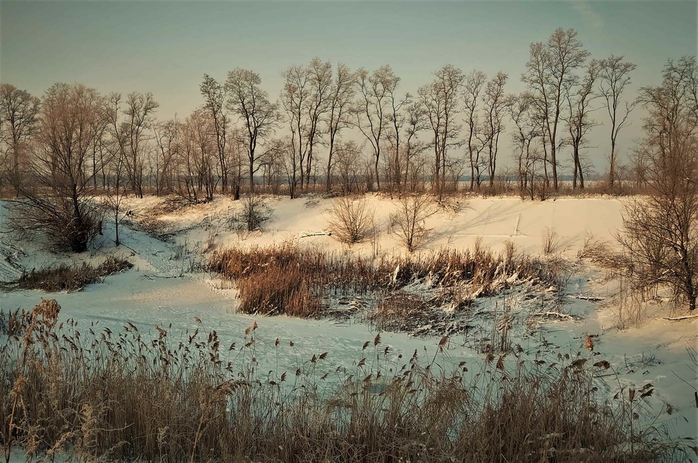 Фотографія Тиша морозного ранку / Anatoliy Storchak / photographers.ua