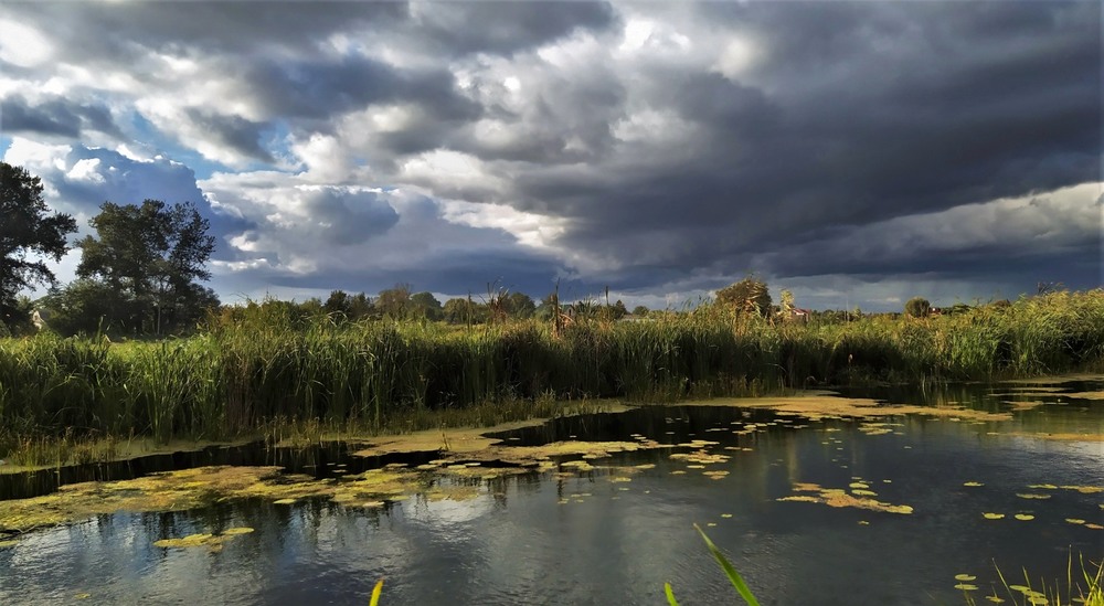 Фотографія Небо закутали хмари / Anatoliy Storchak / photographers.ua