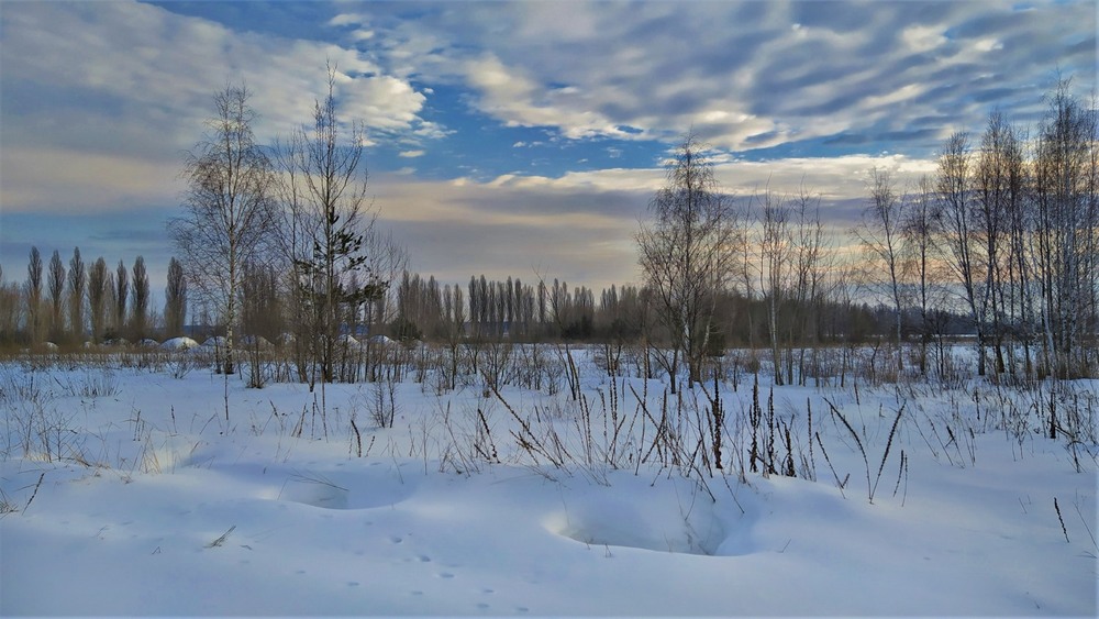 Фотографія Серед глибоких снігів / Anatoliy Storchak / photographers.ua