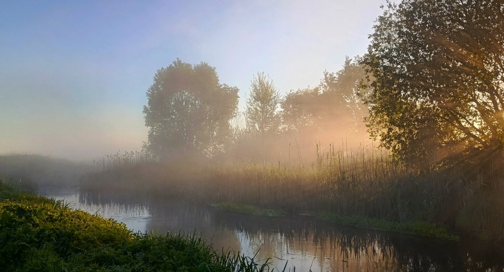 Фотографія Туманний ранок / Anatoliy Storchak / photographers.ua