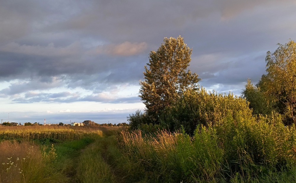 Фотографія Тривожно... / Anatoliy Storchak / photographers.ua