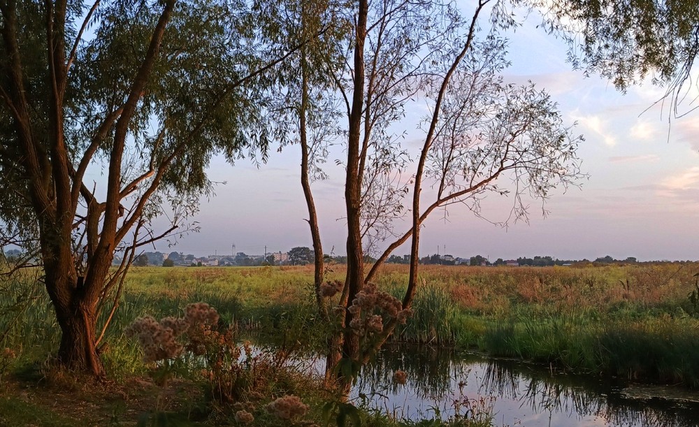 Фотографія Мрії про мир / Anatoliy Storchak / photographers.ua