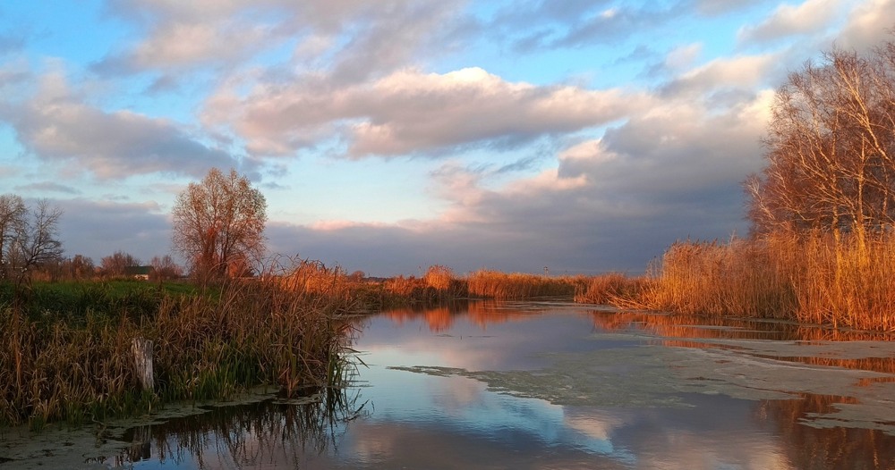 Фотографія В листопаді погожа днина / Anatoliy Storchak / photographers.ua