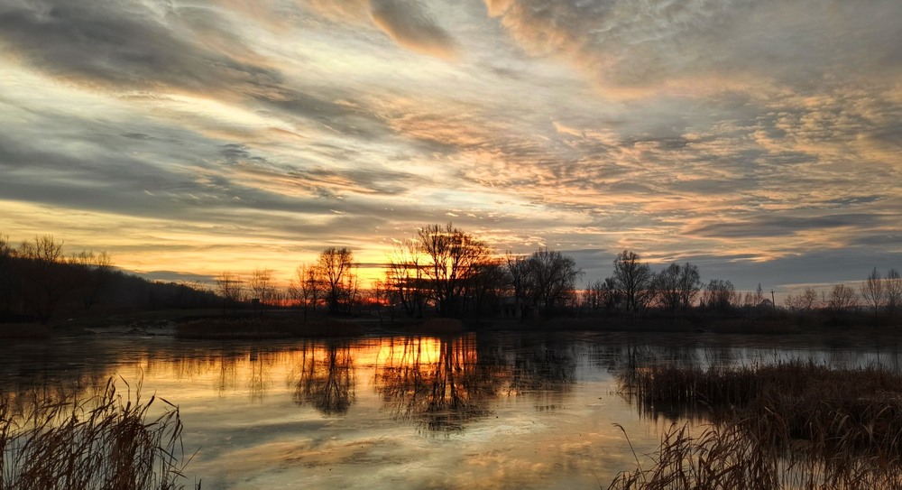 Фотографія Морозний ранок без снігу / Anatoliy Storchak / photographers.ua
