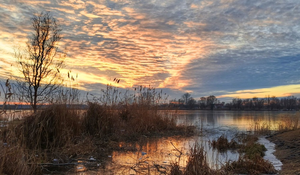 Фотографія Морозний вечір / Anatoliy Storchak / photographers.ua