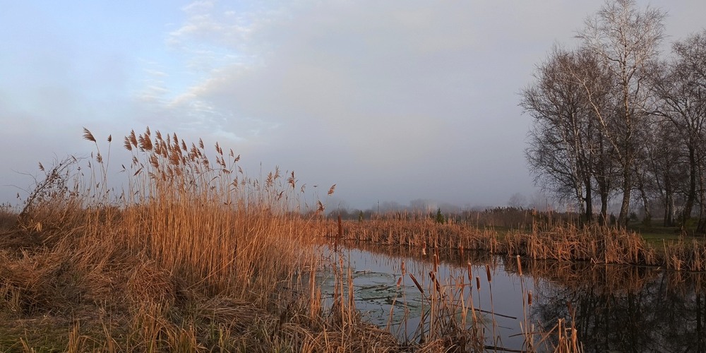 Фотографія Туман наступає / Anatoliy Storchak / photographers.ua