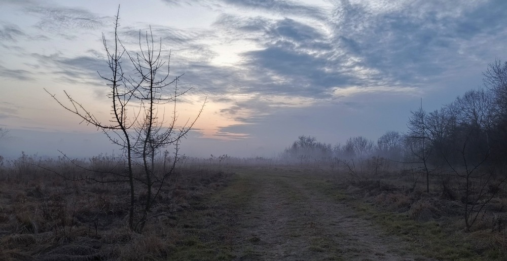Фотографія Пізній туман / Anatoliy Storchak / photographers.ua